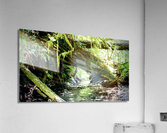 Hunt for Hyperion Acrylic Print