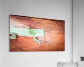 Day Gecko Acrylic Print