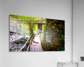 Over and Under Acrylic Print