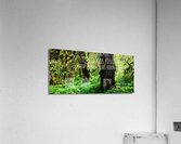 Growing in Green Acrylic Print