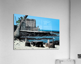 Puuhonua Acrylic Print