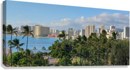 Paradise City Canvas Print