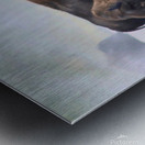 Family  Forge Metal print