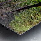 Middle North Falls Metal print