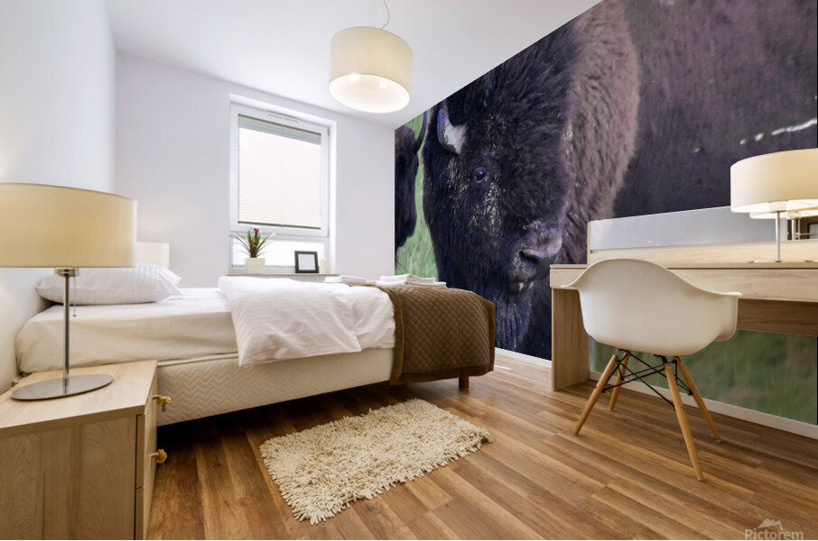 Bison Mural print