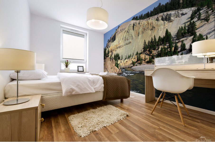 Yellowstone Narrows Mural print