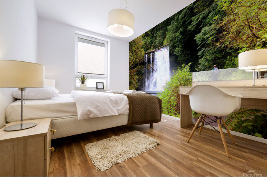 Upper North Falls Mural print
