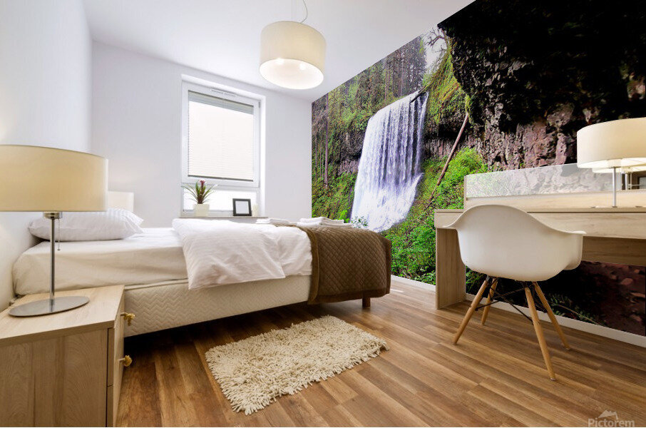 Middle North Falls Mural print