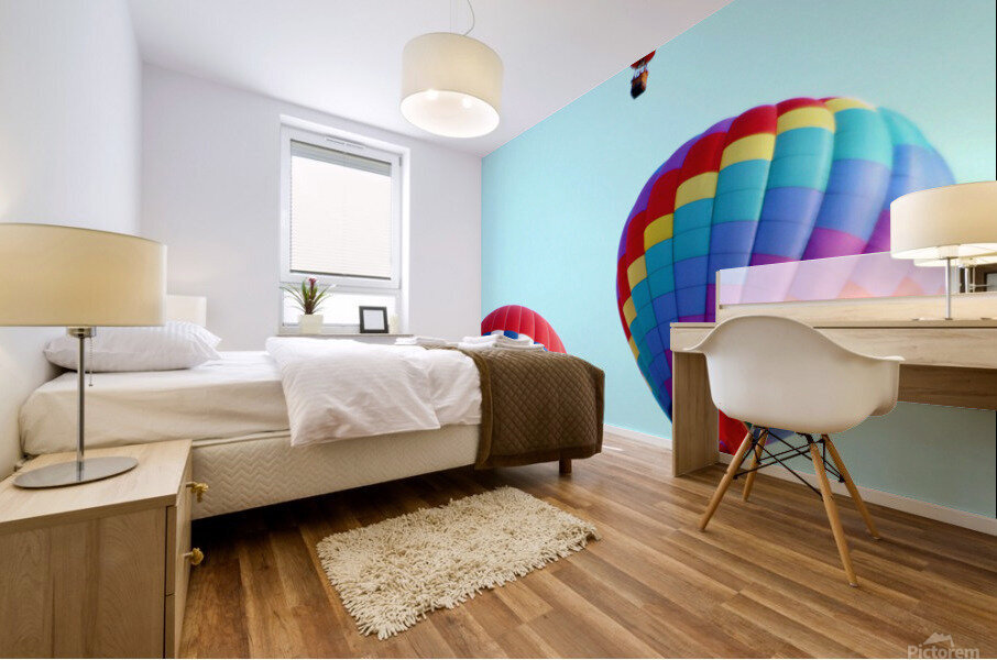 Baloons in Flight Mural print