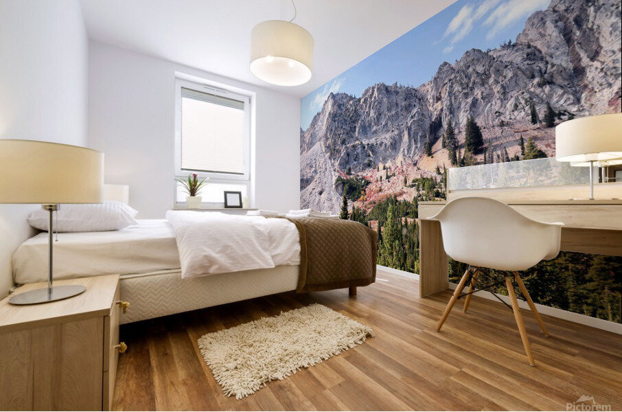 Sawtooth Ridge Mural print