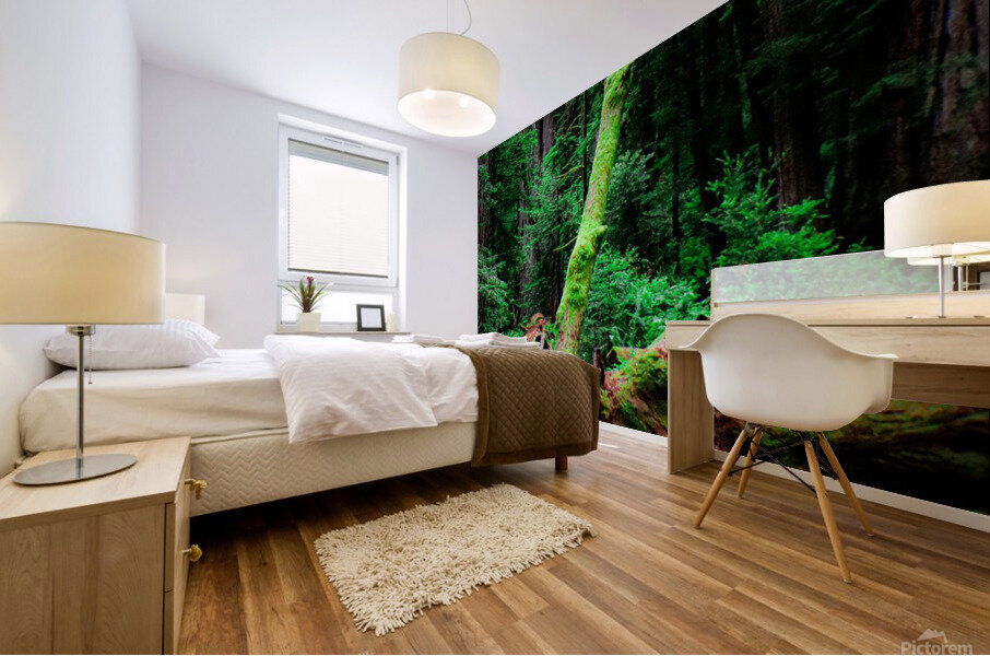 Moss Among Sequoia Mural print