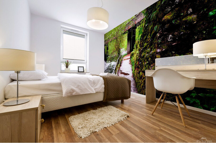 Over and Under Mural print