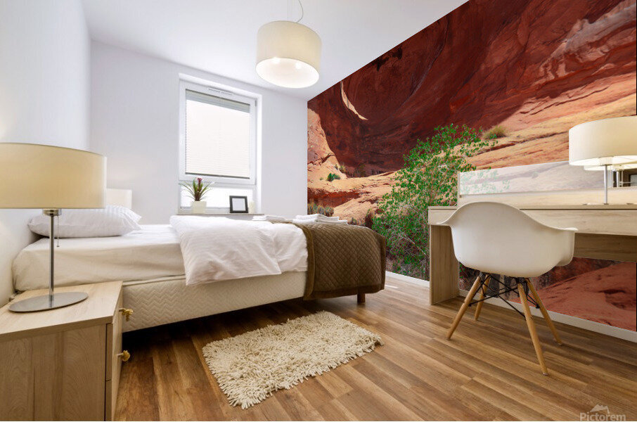 Bowtie Arch Mural print