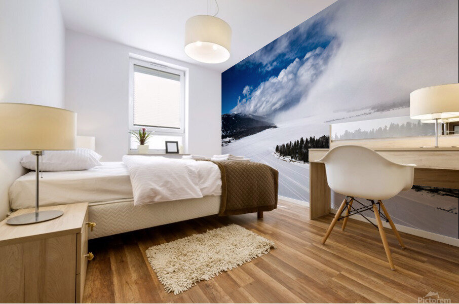 Winter Storm Mural print