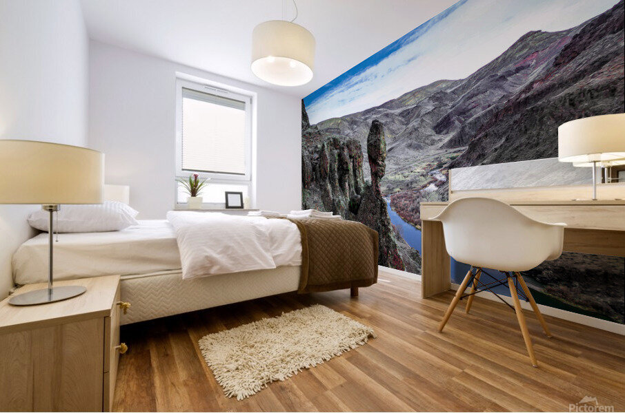 Owyhee Canyon Mural print