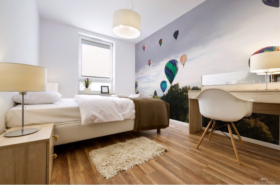 Early Balloons Mural print