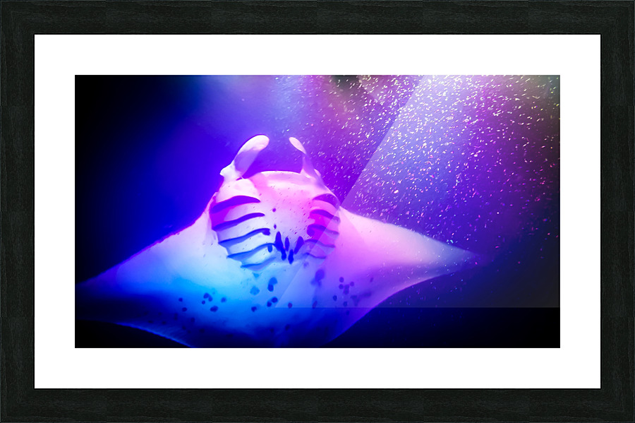 Rize Picture Frame print