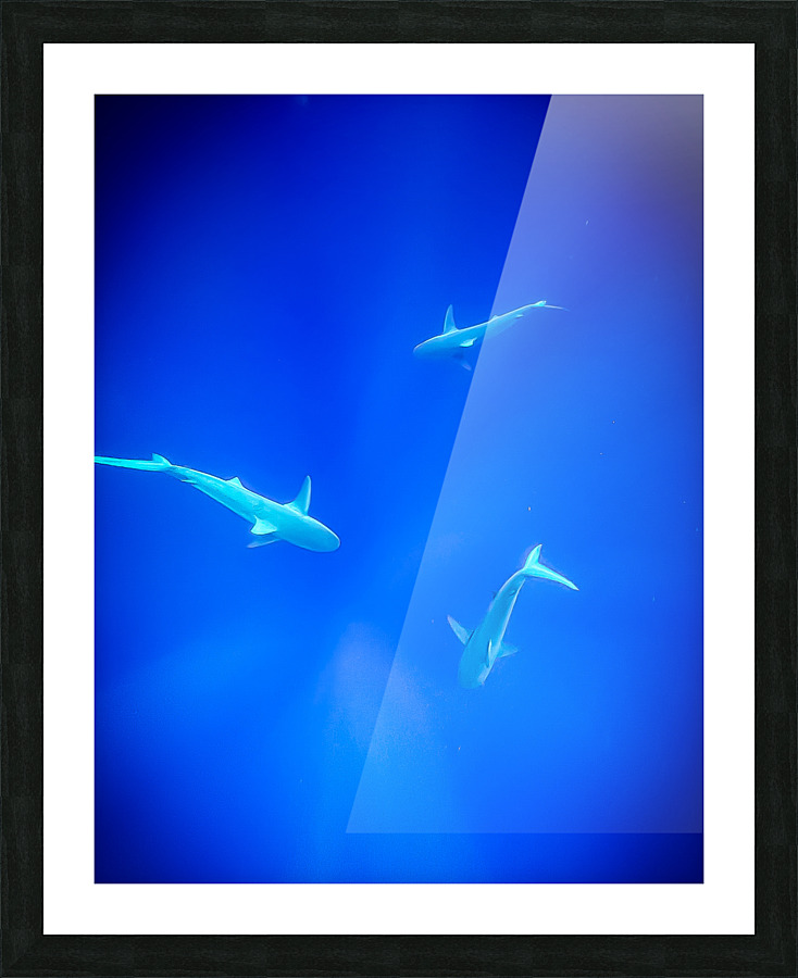 Deep Water Picture Frame print