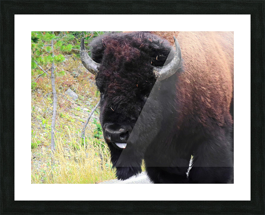 Consentrate Picture Frame print