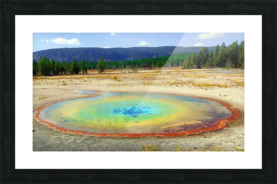 Round Spring Picture Frame print