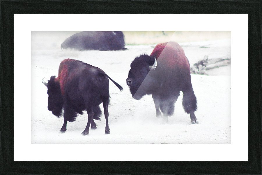 Turf War Picture Frame print