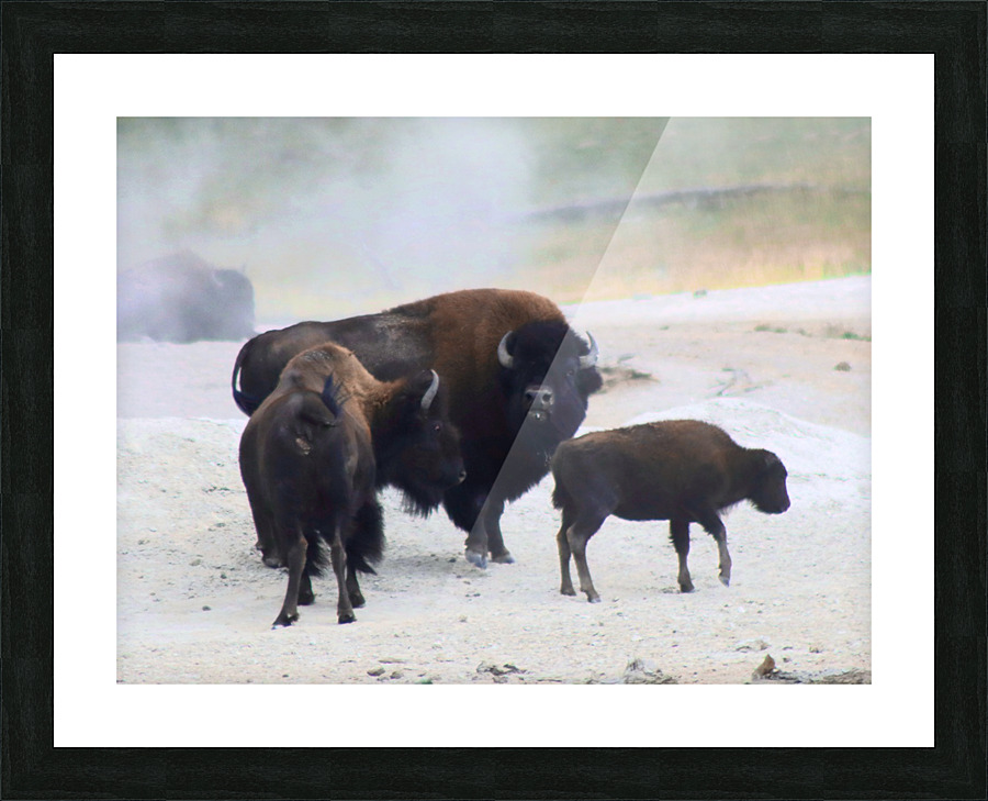 Family  Forge Picture Frame print