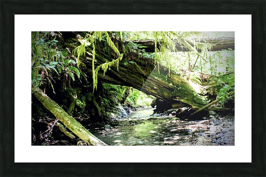 Hunt for Hyperion Picture Frame print