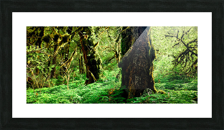 Growing in Green Picture Frame print