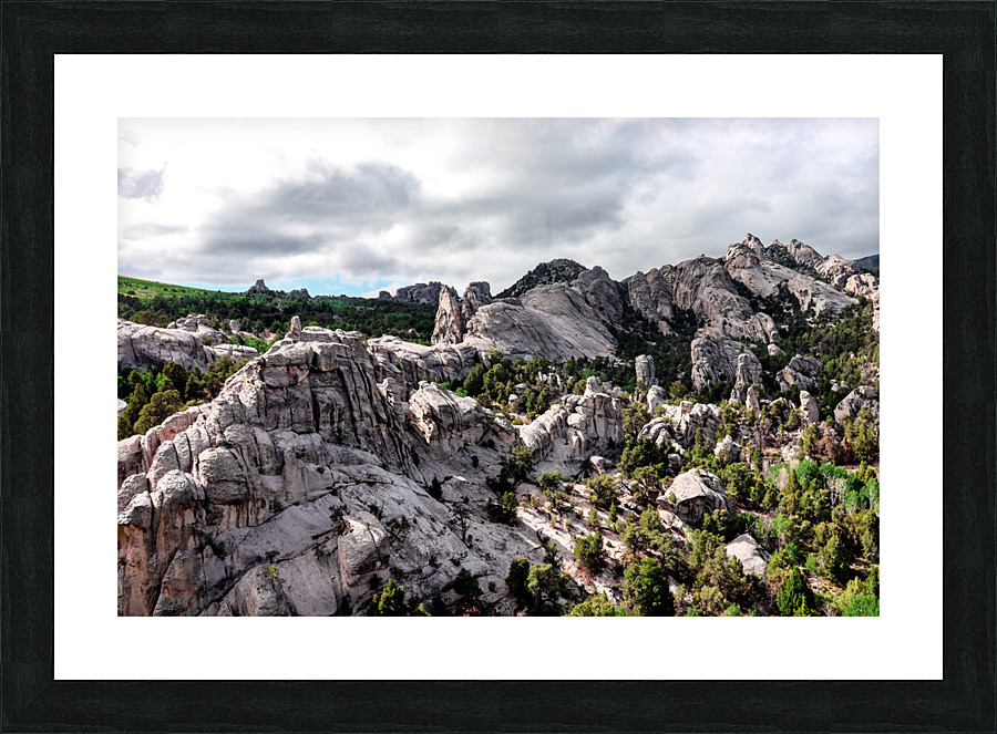 1720 Picture Frame print