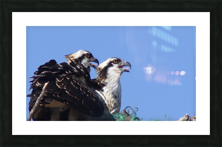 Twins Picture Frame print