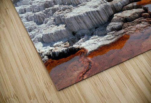 Jupiter Spring BG Nick puzzle