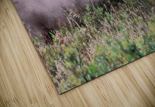 Grazing Elk BG Nick puzzle
