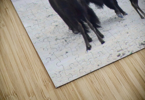 Family  Forge BG Nick puzzle