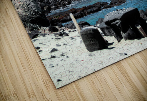 Puuhonua BG Nick puzzle
