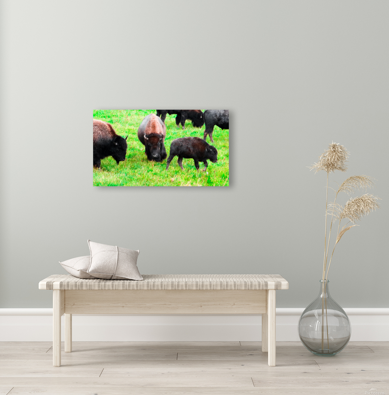 Buffalo on Green Reproduction