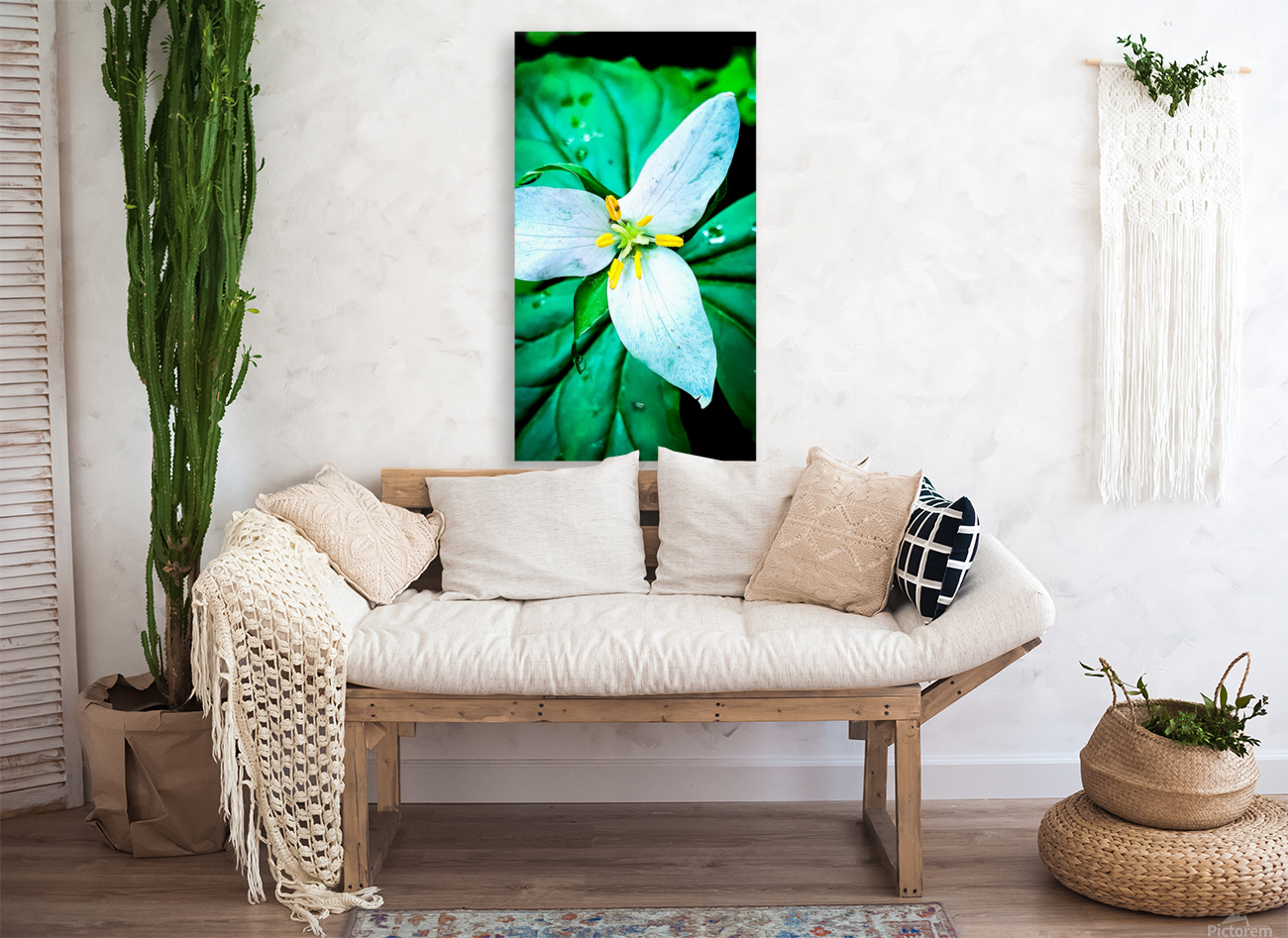 Trillium Reproduction