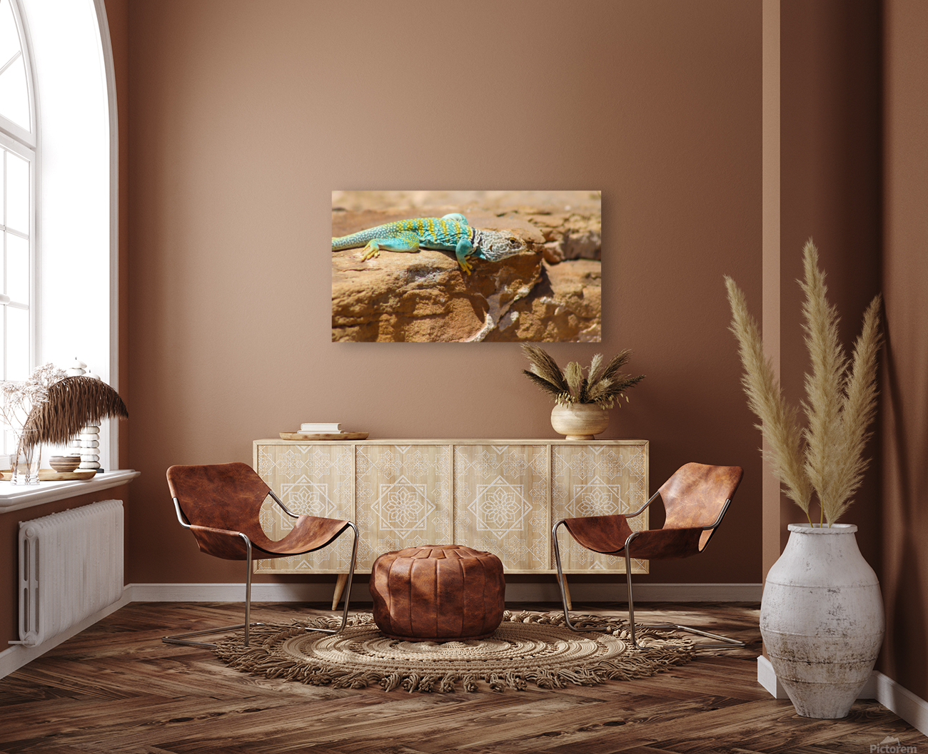 Collared Lizard Leaping Reproduction