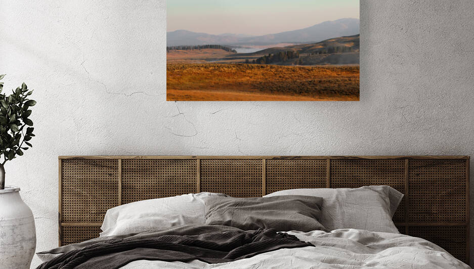 Hayden Valley at Dawn by BG Nick