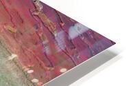 Jupiter Terrace HD Metal print