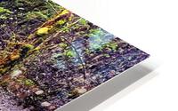 Lower South Falls HD Metal print