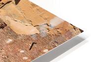 Kiva Ring HD Metal print