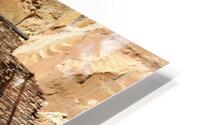 Threw the Remains HD Metal print