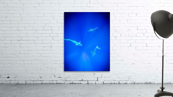 Deep Water Wall Preview
