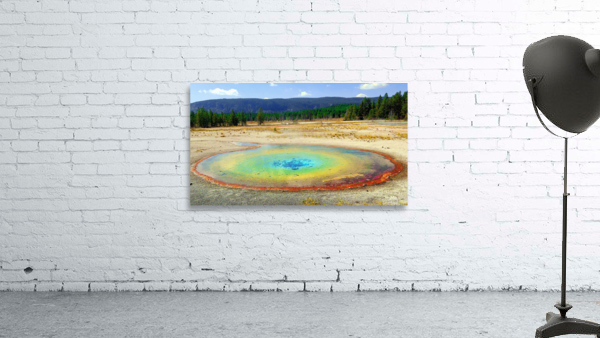 Round Spring Wall Preview