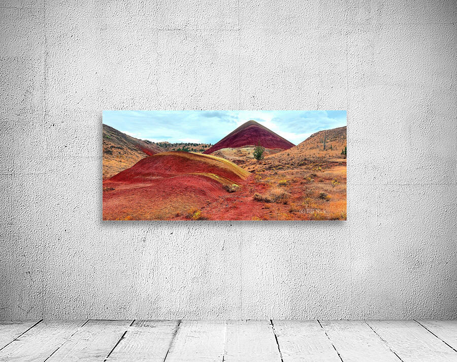 Rusty Hills Wall Preview