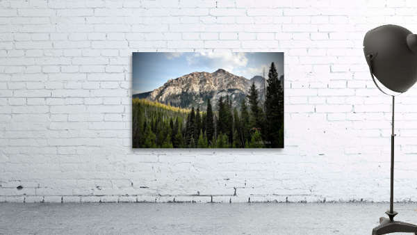 Alpine Peaks Wall Preview