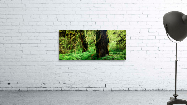 Growing in Green Wall Preview