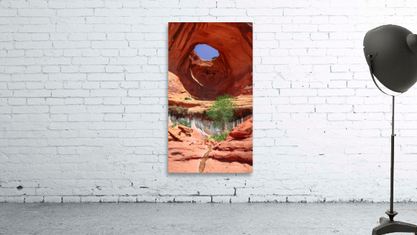 Bowtie Arch Wall Preview