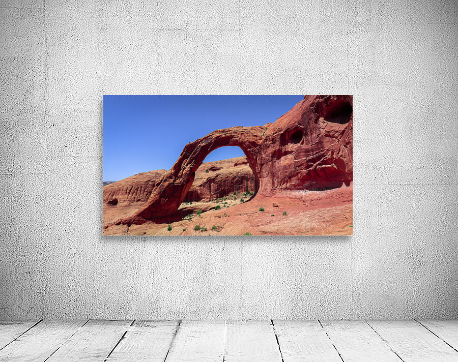 Corona Arch Wall Preview