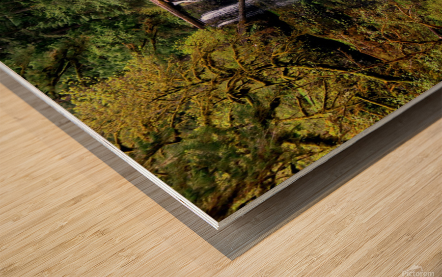 Upper North Falls Wood print